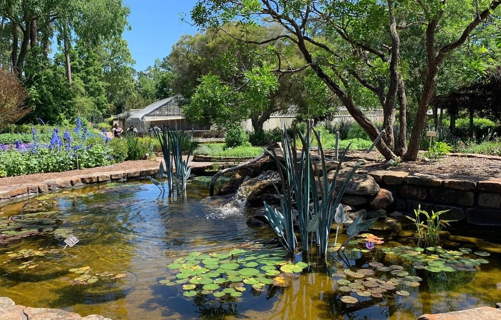 Airway Inn - IAH Airport at Mercer Botanic Gardens